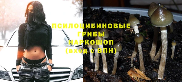 крисы Балабаново